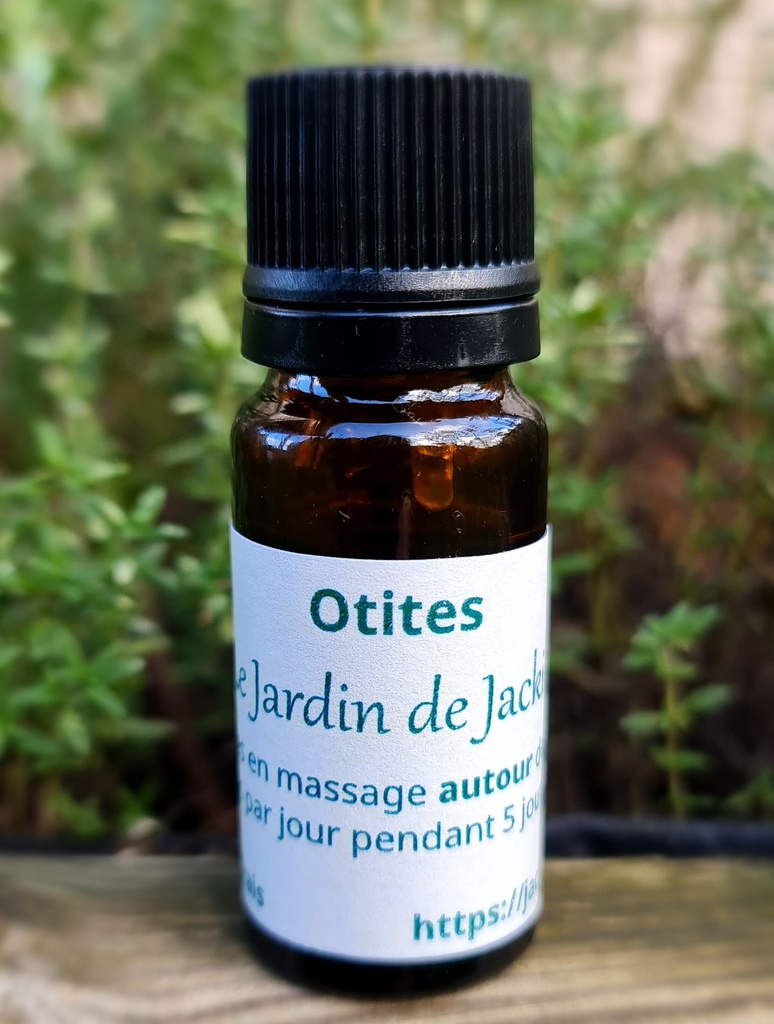 Synergie d'huiles pour otites