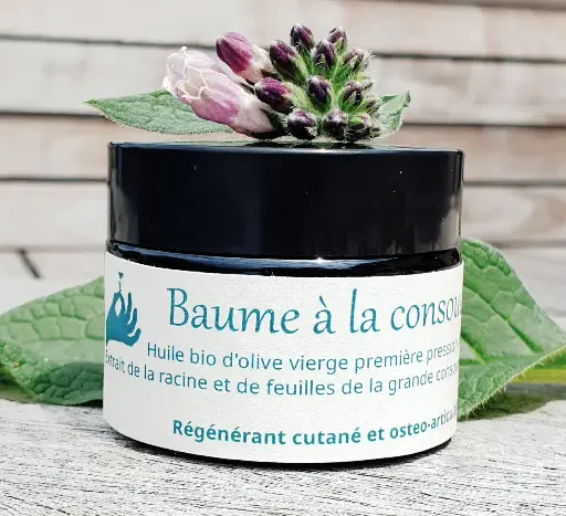 Baume à la consoude