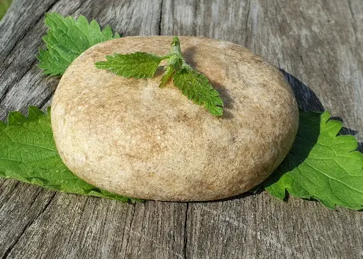 Shampoing solide à la poudre d'ortie